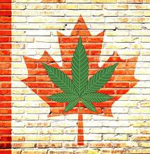 Legales Cannabis in Kanada - Eine Bilanz nach sechs Jahren