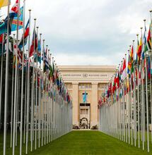 Legalizace marihuany vs. jednotné úmluvy OSN