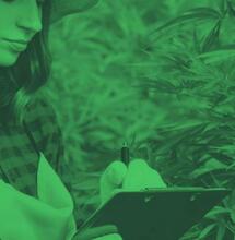 Lettre ouverte de NORML France