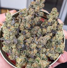 Un Parfum Citronné Hors Du Commun  Dès l'apparition des premiers trichomes, les fleurs sentaient déjà le citron sur la plupart des plantes! Au début on constate une odeur de citron très frais, presque acide. Je n'avais jamais senti cela sur une plante de cannabis. J'ai pourtant cultivé la Lemon Skunk et Super Lemon Haze auparavant. Elles étaient top mais rien à voir avec le citron intense de la Limon Blanco V3.  Cette senteur incroyable semble venir de l'Afghan Lemon, une pure landrace Afghane utilisée dans