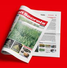 Lo mejor del 2020 de Soft Secrets