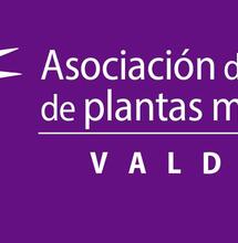 Primera Asociación Cannábica Medicinal del sur de Chile en Valdivia