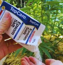 Lotne związki siarki