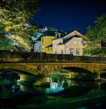 Luksemburg pierwszym krajem europejskim z legalną uprawą marihuany w celach rekreacyjnych