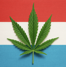 Luxemburgs Cannabisgesetz - Zwischen Reform und Realität
