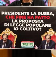 Diffida al Senato per il ddl IoColtivo: 54 mila firme sulla cannabis ignorate dal governo