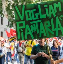 Roma se Levanta Contra Meloni: Marihuana Libre