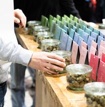 Svolta Cannabis Light: l’Art. 18 alla Consulta. Una luce per i negozi e la filiera