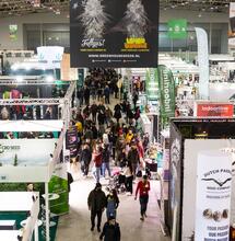 Roma si fa green con la tre giorni di Canapa Mundi