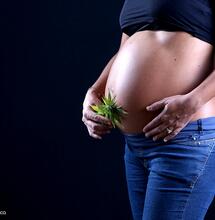 Uso di cannabis in gravidanza: quali sono i rischi?