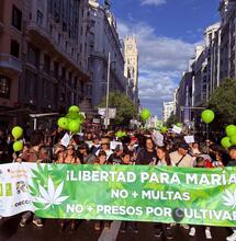 Madrid se planta bajo la lluvia: crónica de una Marcha Mundial de la Marihuana