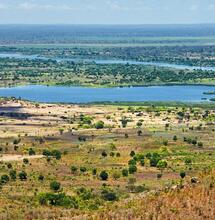 Le Malawi demande à Mike Tyson d'être ambassadeur du cannabis
