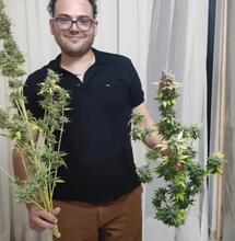 Malte : il revit grâce au cannabis médical