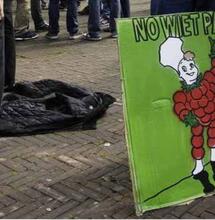 Les 7 villes néerlandaises où les coffeeshops refusent toujours les touristes
