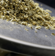 Caos light Css e Ministero si contraddicono: quale futuro per la cannabis light?