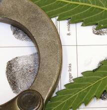 Prohibition : le procureur de Grenoble tire la sonnette d’alarme