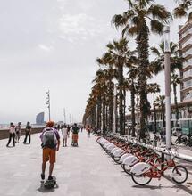 Marihuana en España: El auge del comercio legal e ilegal
