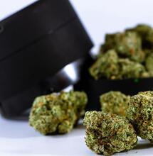 Marihuana: jak zmienić nawyki i zachować kontrolę
