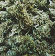 Marihuana medicinal: Resultados en pacientes de cáncer