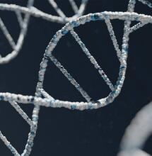 Marihuana ovlivňuje naši genetiku