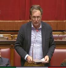 Perantoni risponde a Salvini sulla Cannabis: "Spaccio si ferma con la legalità"