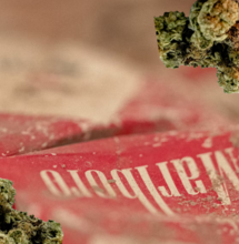 Philip Morris entra nel business della Cannabis medica