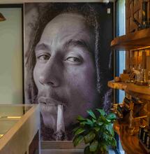 Legale Jamaica wiet te koop in Bob Marley Museum