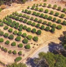 Planter en accord avec la lune : le jardin de Martyjuana
