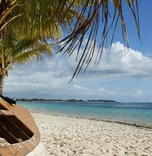 Maurice expérimente le cannabis médical