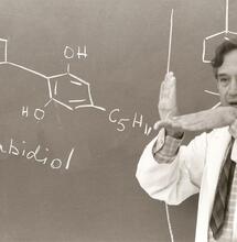 1964 : le Professeur Raphael Mechoulam découvre le THC