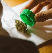 Breaking Down Medical Cannabis UK Law in 2026