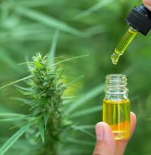 Quel avenir pour le cannabis médical en France ?