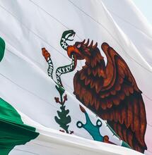 Flying the flag of Mexico, the largest cannabis market on earth.