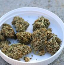 Missouri Enforces Plain Packaging Cannabis Rule 