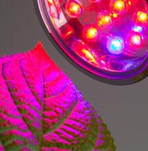 Moduły LED cz. 2