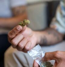 New York’s Marijuana Guide for the Workplace