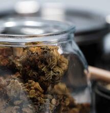 Nevada dispensary earns hefty fine because of a self-reporting error.