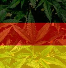 Německá legalizace bude zřejmě už 1. dubna