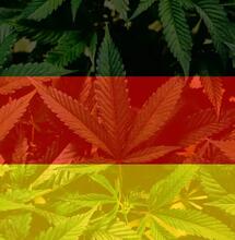 Německá legalizace v plánované podobě neprošla