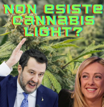 CBD inserito tra gli stupefacenti: scelta antiscientifica