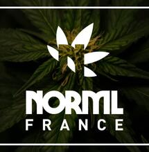 Enquête sur l’application de l’amende forfaitaire délictuelle