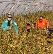 Interview Stoner VIP : O.B.F