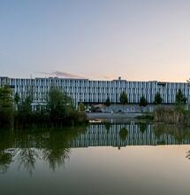 Le canton de Genève veut tester la vente de cannabis régulée