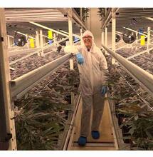 Ook Holigram en Q-Farms klaar voor wietexperiment