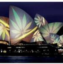 Opera House Stunt Lands Campaigners in Court