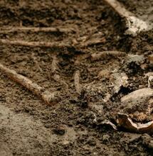 Le radici antiche della cannabis: una scoperta archeologica nel cuore di Milano 