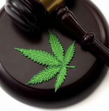 PCN: Uitspraken RvS leiden tot periodieke stoelendans rondom coffeeshops