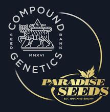 Paradise seeds a Compound genetics