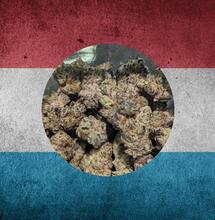 Parlament Luksemburga zatwierdził projekt ustawy legalizującej