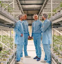 La 7eme édition de The European Cannabis Report 